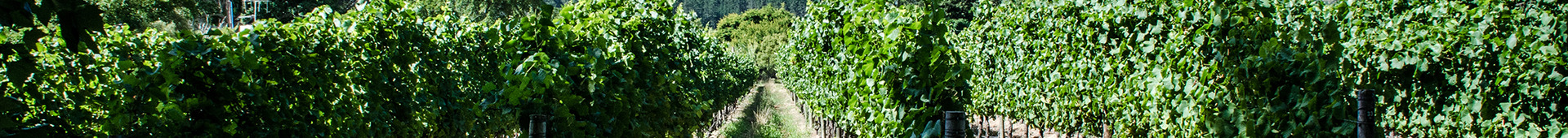 Equity Investment Process Hero Image 