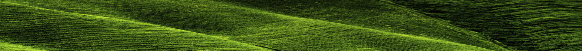 Credit Strategies Hero Image 