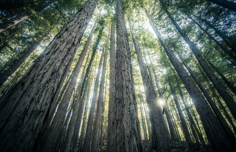 Institutional Preview Image