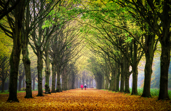 Private Client Preview Image 