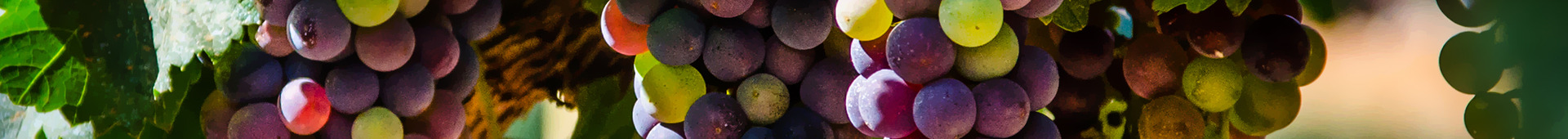 Portfolio Construction Hero Image 