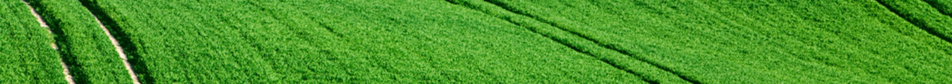 Risk Management Hero Image 