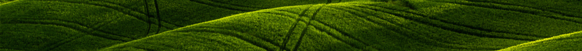 Yield Enhancement Strategies Hero Image 