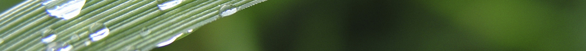 Performance Hero Image 