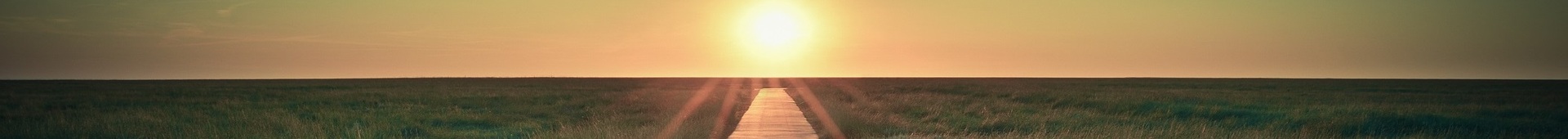 Responsible Investment Hero Image 