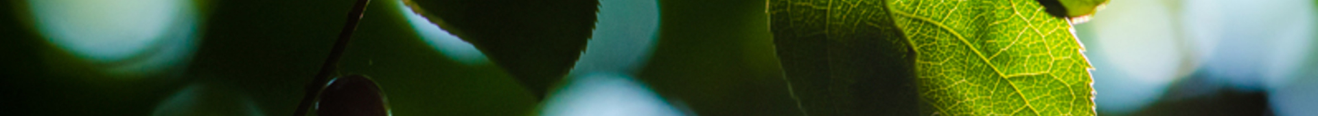 FGP Solutions Hero Image 