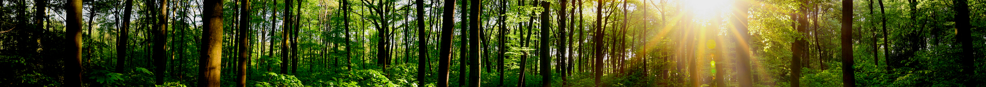 Helping investors reduce their carbon footprint Hero Image 