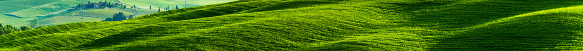 Interest Rate Strategies Hero Image 