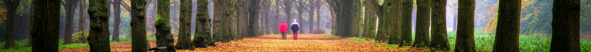 Private Client Hero Image 