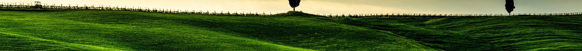 Fixed Income Investment Process Hero Image 