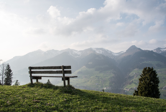 Economic Commentary & Outlook Preview Image 